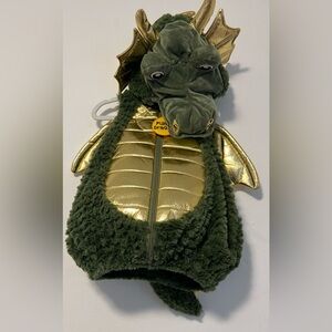 Baby dragon costume